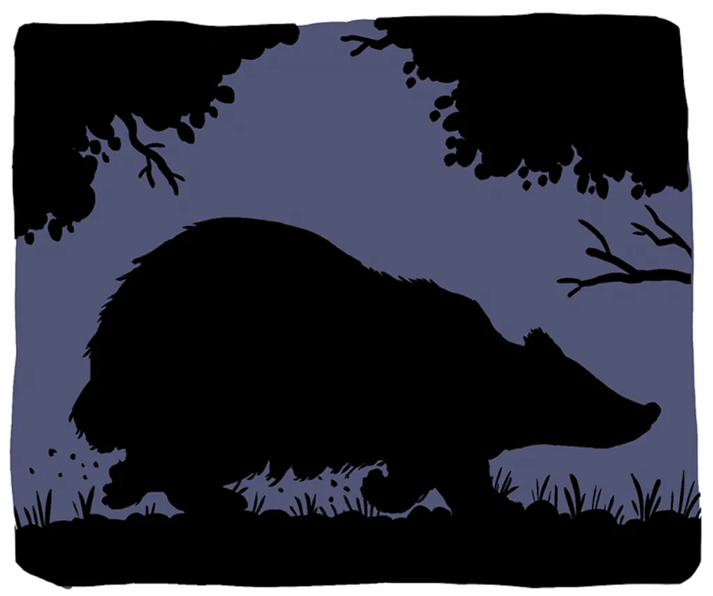 BD reportage de Nicolas Breban sur le Blaireau dans L'Arrière-Cour