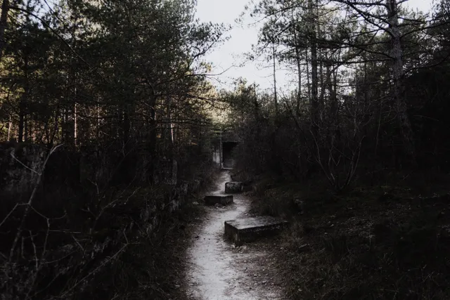 "L'Echo des fracas", Max Guillaud. Une exposition de la revue de photo lyonnaise Chabe! À la Médiathèque de Bron Jean-Prévost