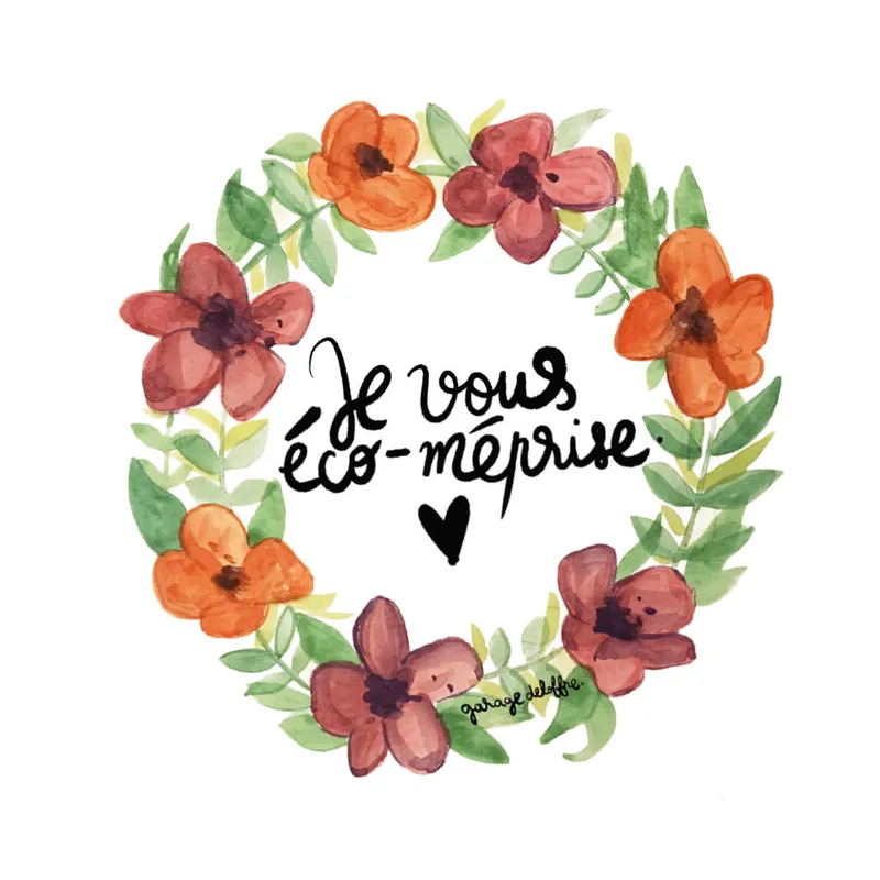 caricature_garage_de_loffre_ecologie_selon_collomb