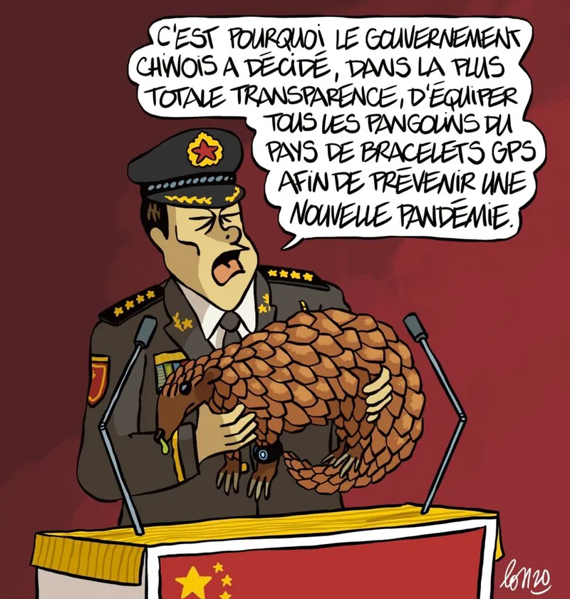 Pangolins