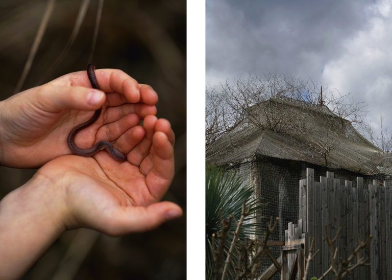 Photographies Fabien Muscio - Chabe