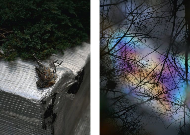 Photographies Fabien Muscio - Chabe