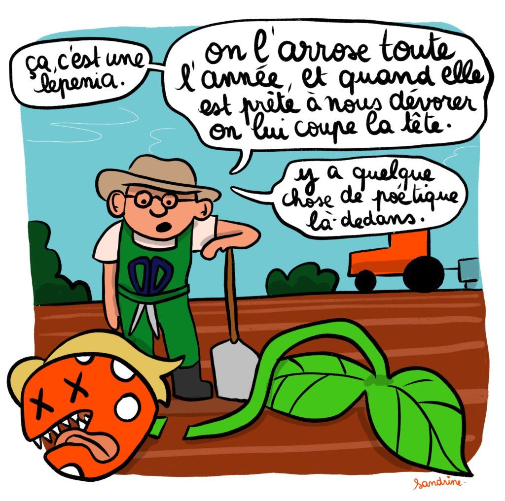 Illustration_sans_titre 16