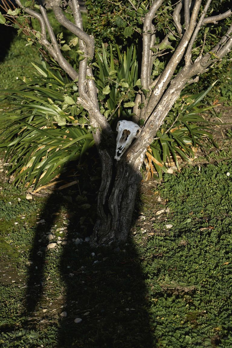 Photographies Fabien Muscio - Chabe