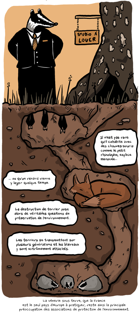 BD reportage de Nicolas Breban sur le Blaireau dans L'Arrière-Cour - 05