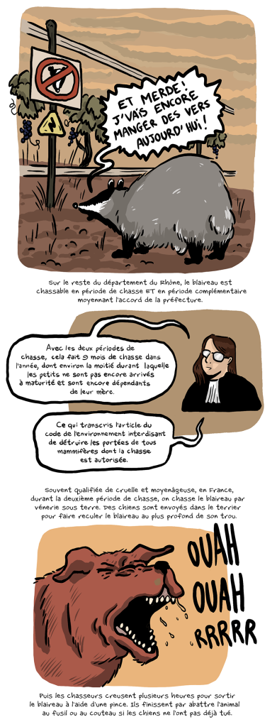 BD reportage de Nicolas Breban sur le Blaireau dans L'Arrière-Cour - 03